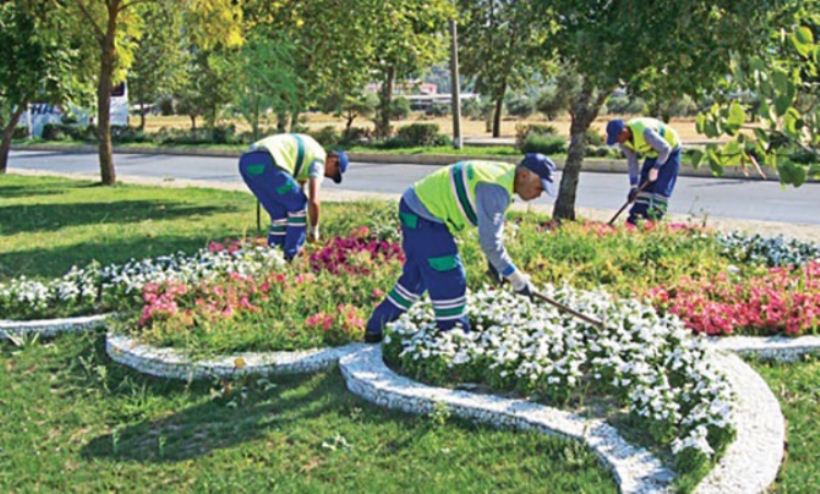 Park Bahçe & Peyzaj
